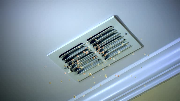 Best Affordable Air Duct Cleaning  in Seabrook Island, SC